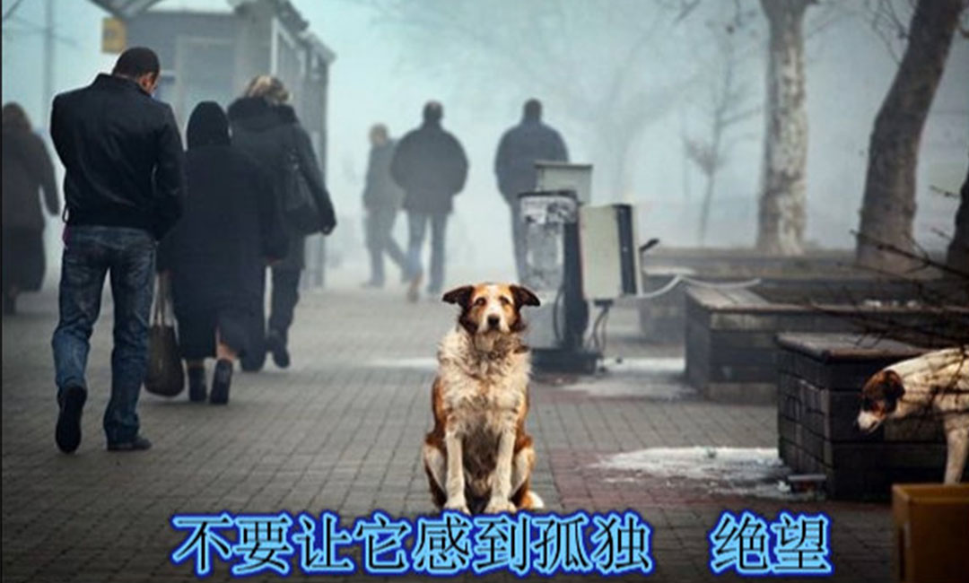 辽源辽源爱影圈微博微信转发案例
